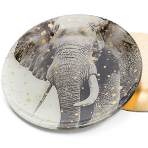 Plato decorativo elefante