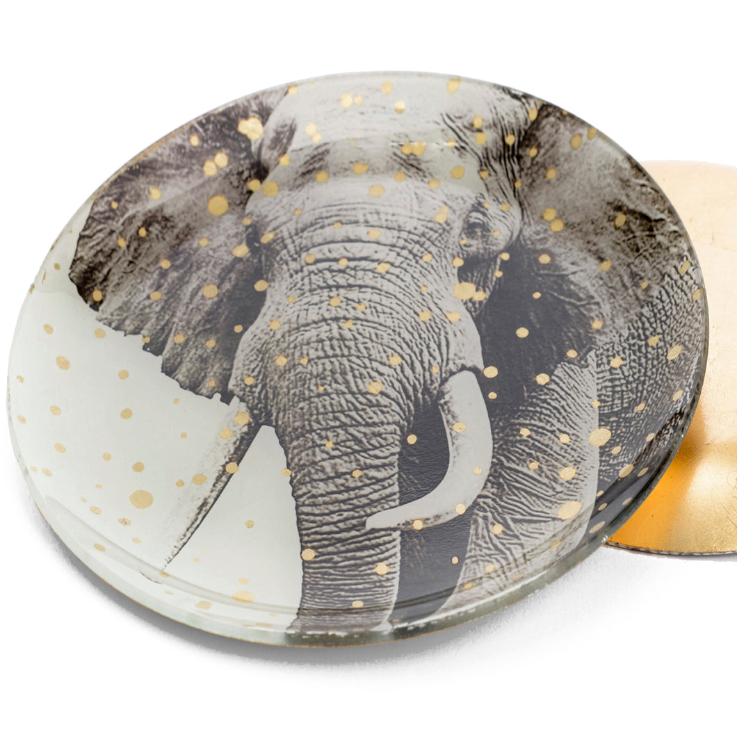 Plato decorativo elefante
