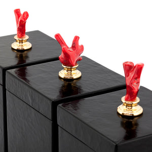 Conjunto cajas negras con corales