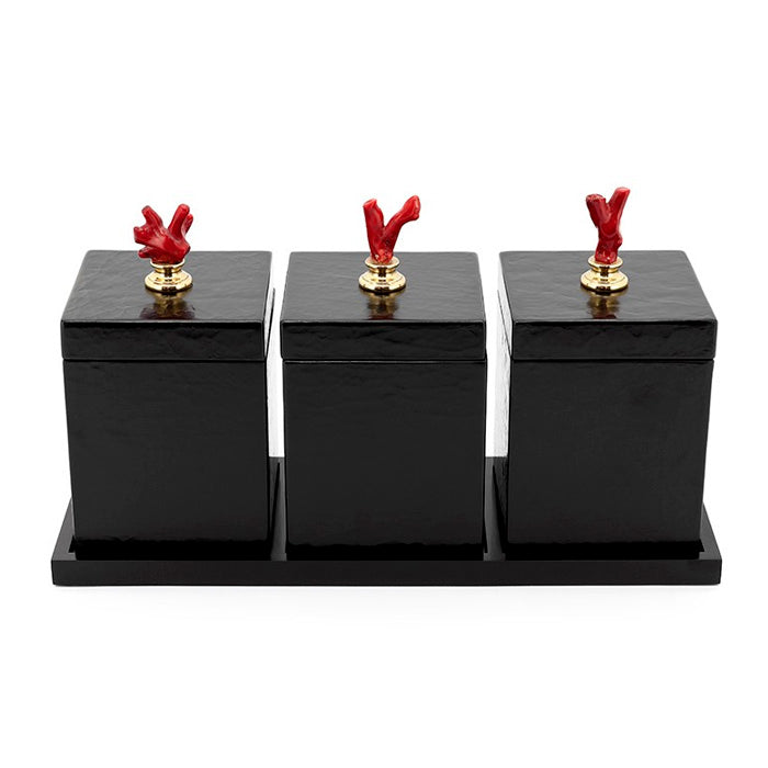 Conjunto cajas negras con corales