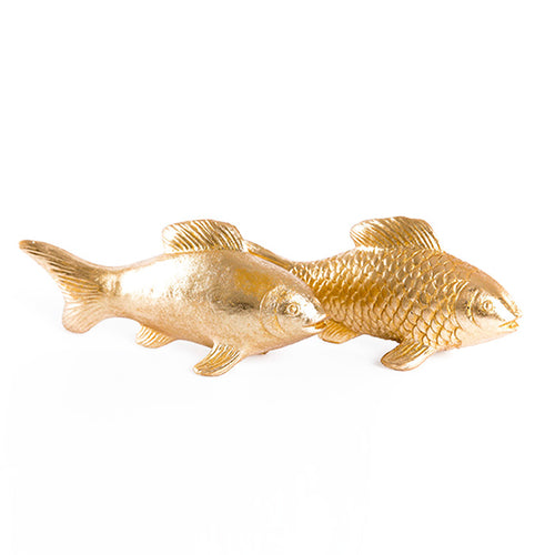 Pareja de peces dorados