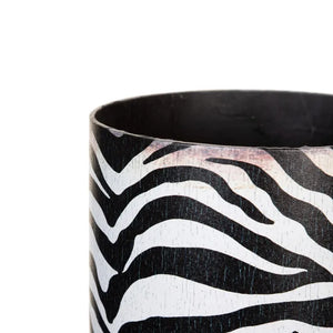 Paragüero Animal Print